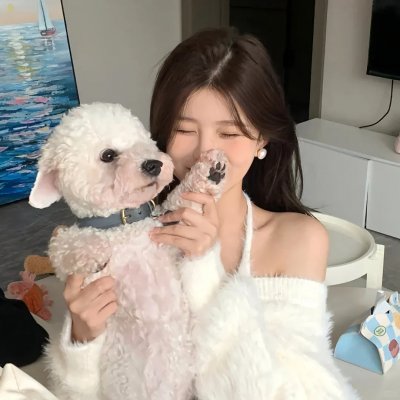 全职高手第一季